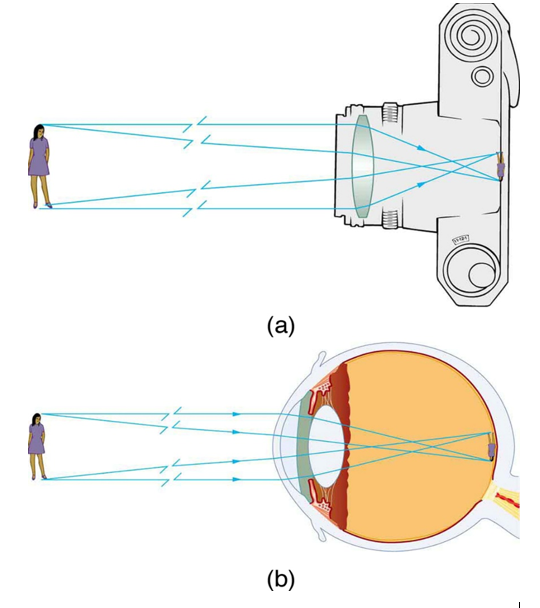 CLASS 10 Science | Chapter- HUMAN EYE and Colourful World | Human eye work as a camera