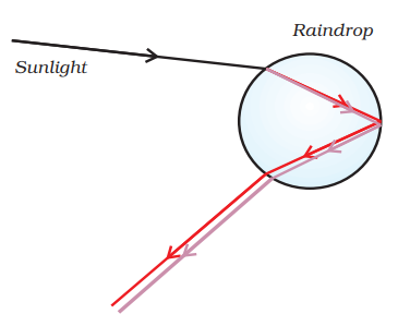CLASS 10 Science | Chapter- HUMAN EYE and Colourful World | how is rainbow formed